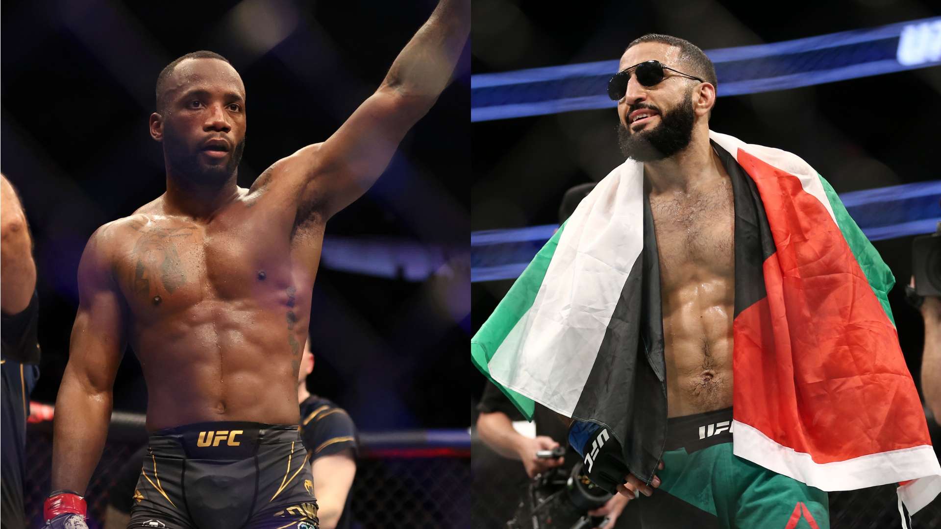 这一任命对 这一任命对