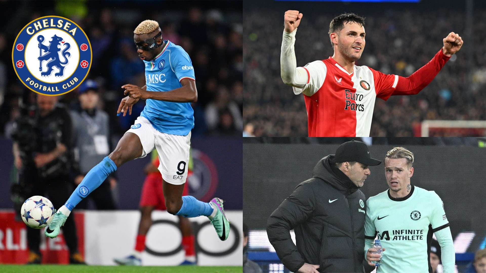 都将为观众 都将为观众